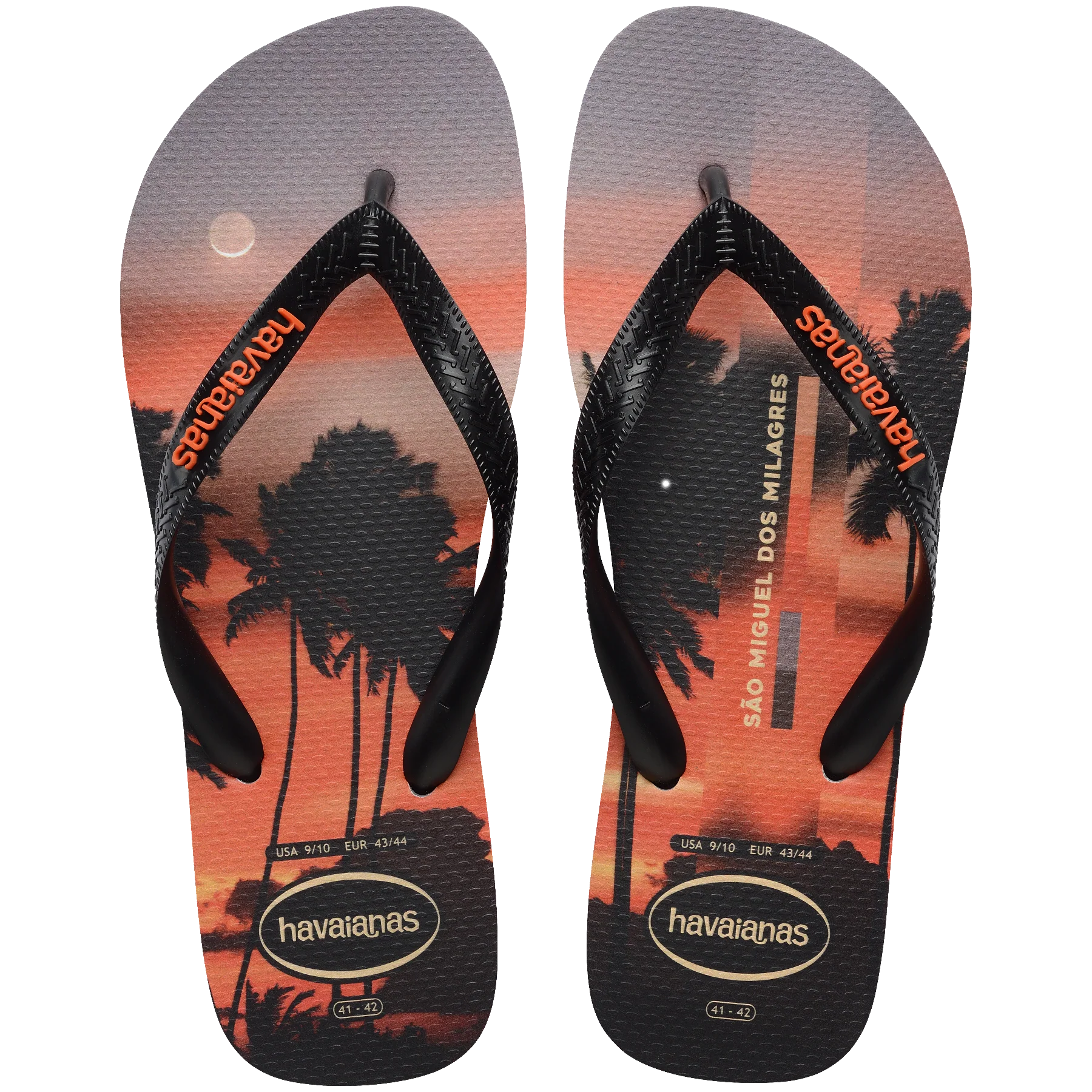 Men's Top Surfer I Flip Flops